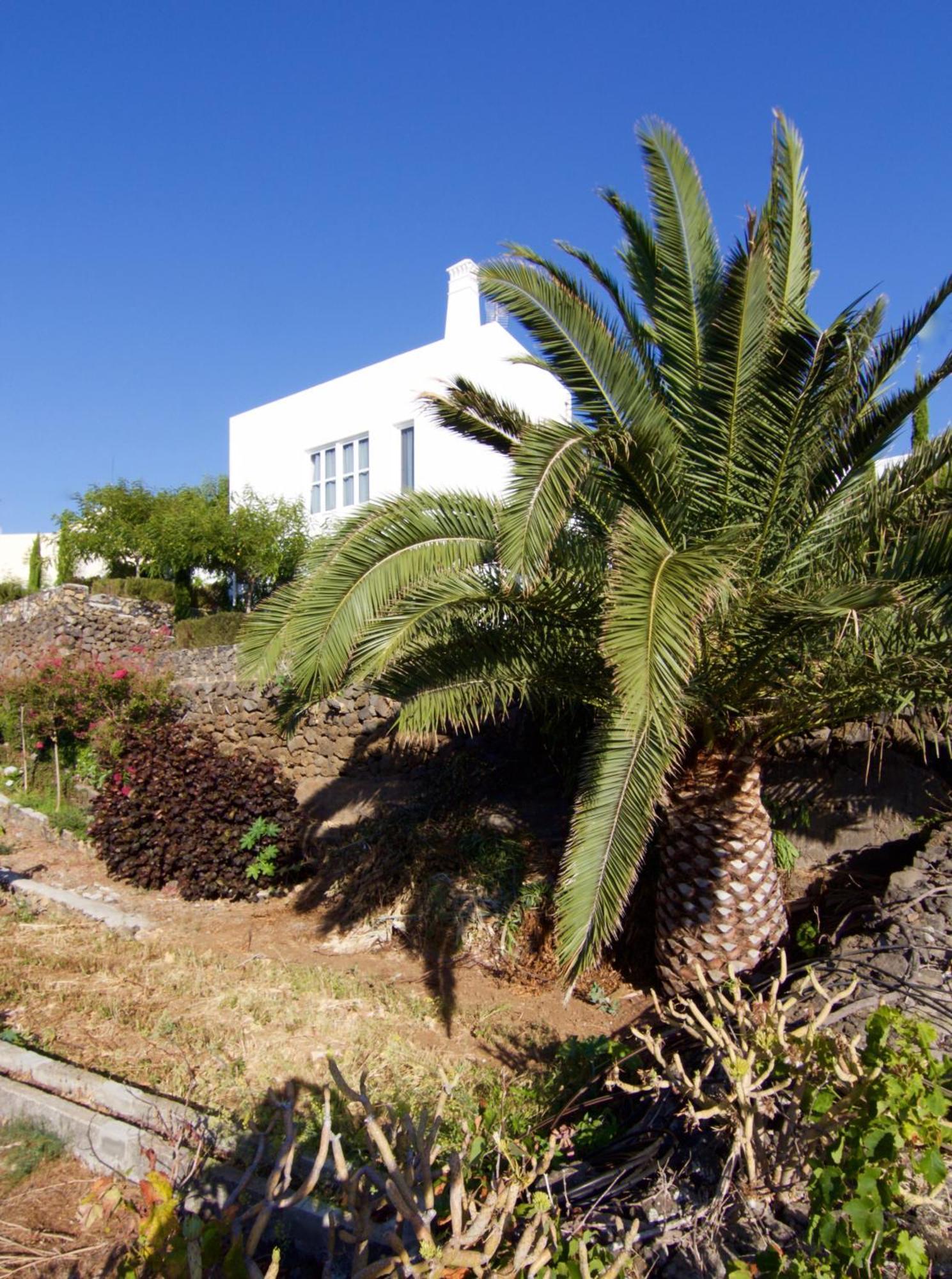 הוילה Breña Baja Casa La Brena La Palma מראה חיצוני תמונה